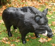 Großes Wildschwein