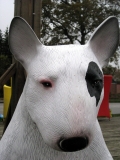 Bullterrier groß