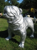 Bulldogge silber