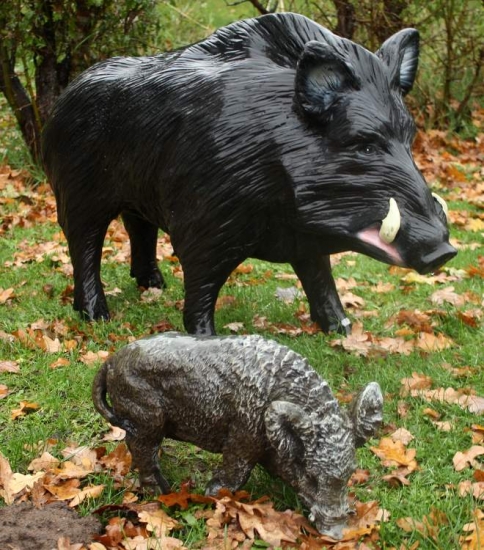 Großes Wildschwein