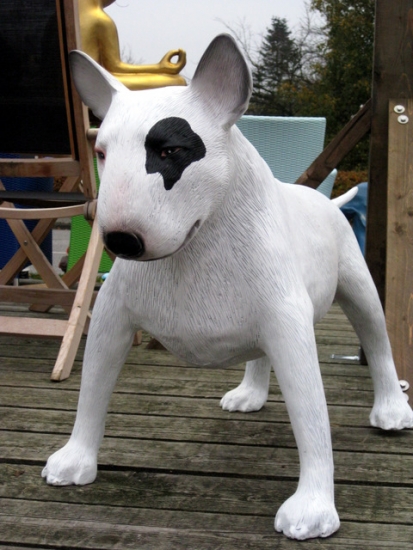 Bullterrier groß