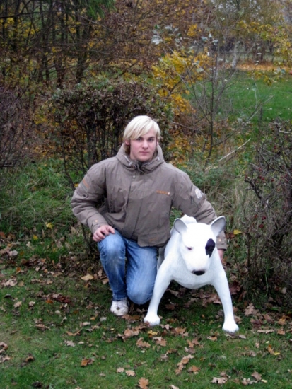 Bullterrier groß