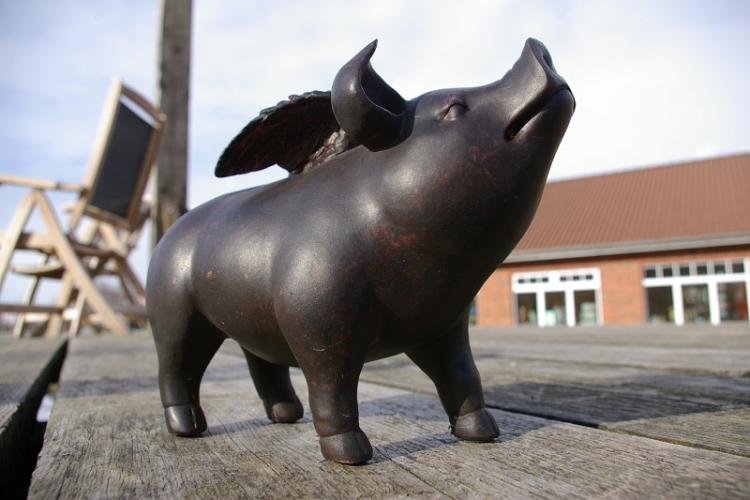 Flügelschwein - schwarz